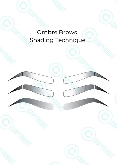 Ombre Brows Shading Technique Digital Download Nita Mcevoy