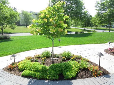 Best Small Trees For Front Yards At Theresa Francis Blog