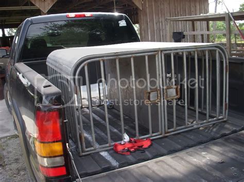 photos of your dog box