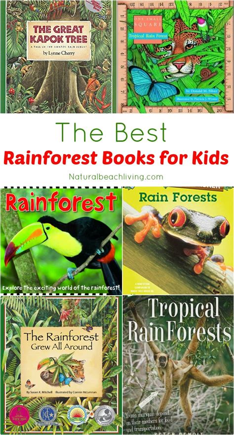 Rainforest Layers For Kids With Animals