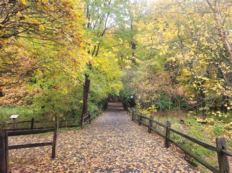 Man Tries To Grab Woman At East Rock Park In Hamden