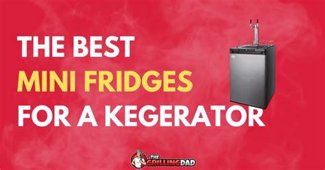 5 Best Mini Fridges For A Kegerator 2023 Review The Grilling Dad