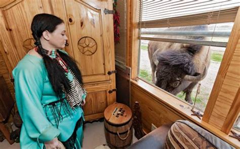 Awesome Pet Bison at home throughout Colorado