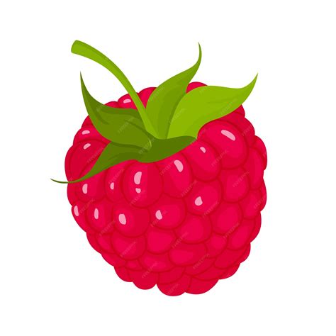 Raspberries Stock Illustrations 18 765 Raspberries Stock Clip Art