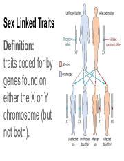 Sex Linked Traits Pdf Sex Linked Traits Definition Traits Coded For