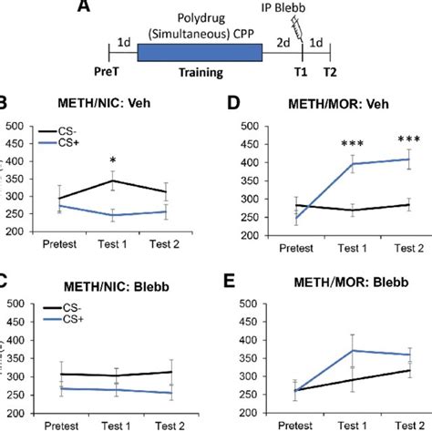 Nonmuscle Myosin II Inhibition Disrupts Polydrug Associated Memories