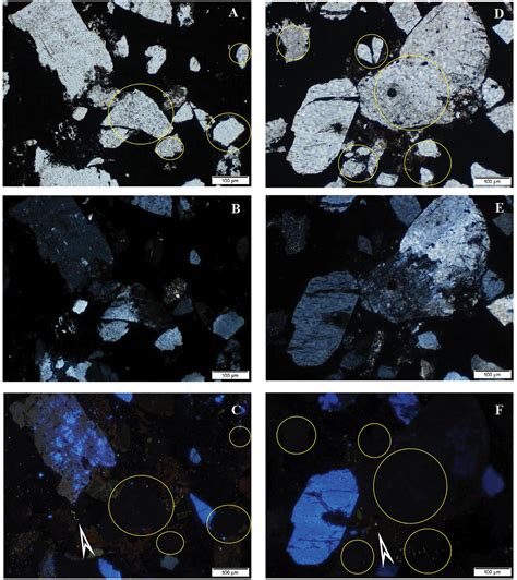 Frontiers Microbially Mediated Ore Forming Processes And Cell