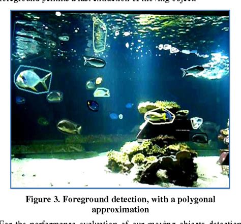 Figure 1 From Automatic Fish Detection From Video Sequences Using An