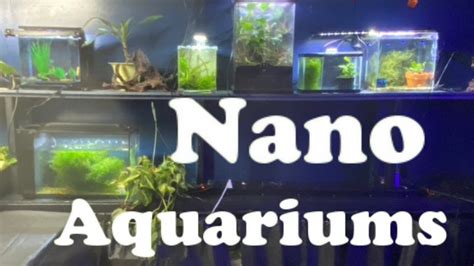 Pros And Cons Of The Nano Aquarium YouTube