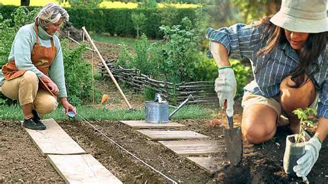 Quelles Sont Les Plantes Cultiver Dans Votre Espace Vert En Avril