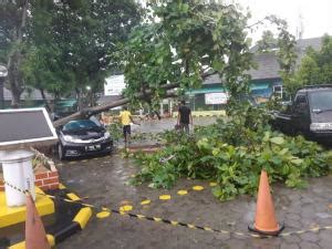 Bogor Diguyur Hujan Deras Pohon Manggis Besar Tumbang Timpa Rumah