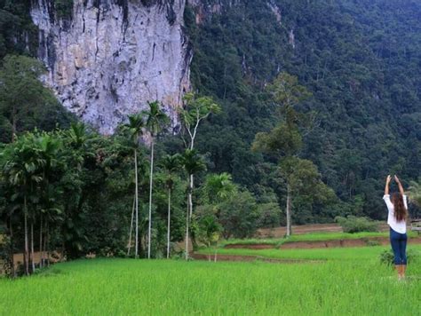 Melihat Keindahan Batuan Purba Dan Budaya Lokal Desa Wisata Silokek