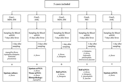 Frontiers Invasive Pulmonary Aspergillosis Diagnosis Via Peripheral