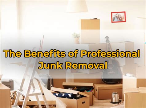 Why Professional Junk Removal Matters Dave Burroughs