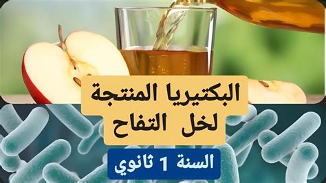 تمرين حول انتاج خل التفاح عن طريق بكتيريا التنفس والتخمر سنة اولى