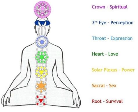 Mantra Of The Week Chakras Mapping The Subtle Body Les Chakras