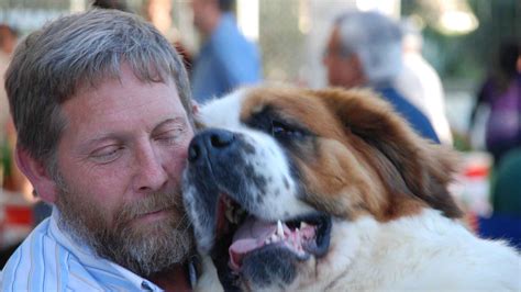 Los Amantes De Los Perros Tienen Este Fin De Semana Una Cita En Archidona