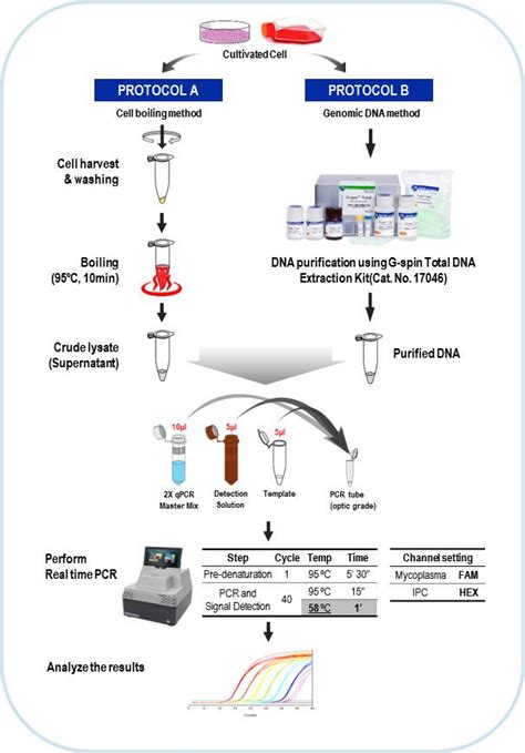 E Myco VALiD Mycoplasma QPCR Detection Kit Labotaq Material Laboratorio