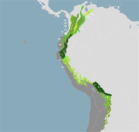 Andean Mountain Forests & Valleys (NT11) | One Earth