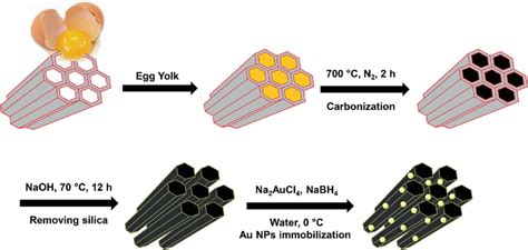 Schematic Synthesis Of Au Omc Catalyst From Egg Yolk And Through Hard