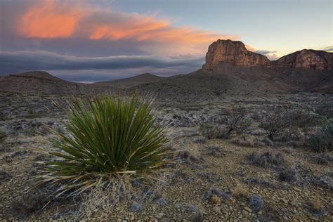 Guadalupe Mountains - El Capitan at Sunrise 1 Photograph by Rob Greebon ...