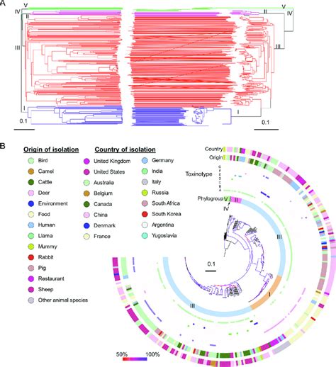 Comparison Between Typing Results Of Allele And Nucleotide Based