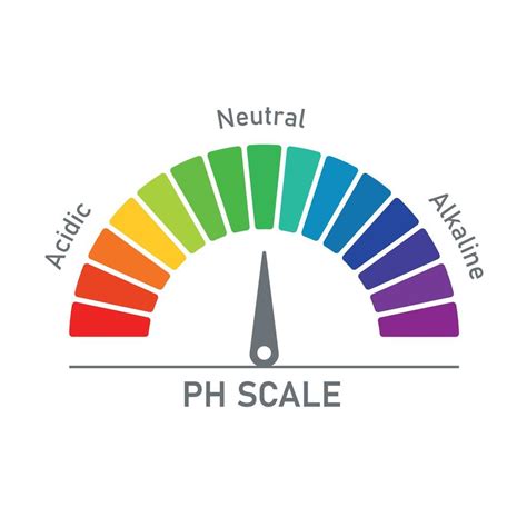 Escala De Ph Para Soluciones Cidas Y Alcalinas Equilibrio Cido Base