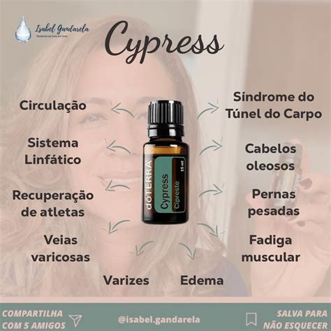 Pin De Anna Aquino Em Blends E Receitas Doterra Leos Essenciais