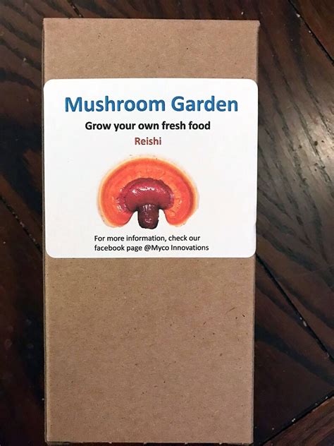 Reishi Mushroom Home Grow Kit Etsy