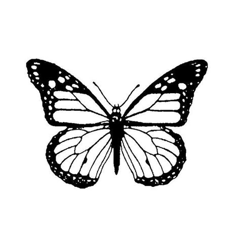 Monarch Butterfly Outline Monarch Butterfly Outline Insects Monarch Butter Monarch