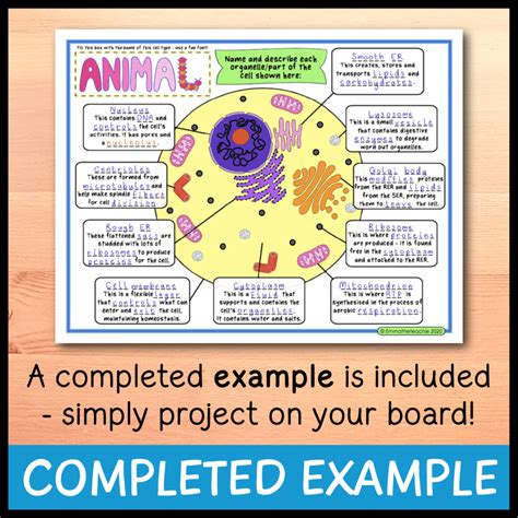 Cell Organelles Doodle Notes Emmatheteachie