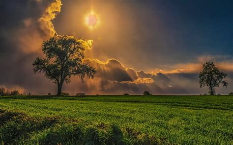 Sun Shining Bright On The Field Sky Sun Grass Tree Field Cloud