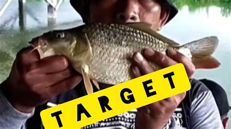 Strike Bertubi Tubi Nila Bonus Ikan Mas TARGET YouTube