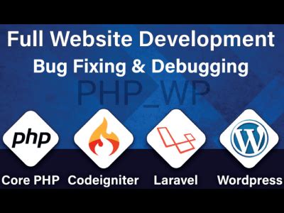 PHP Bugs Fixing In Laravel Website Upwork