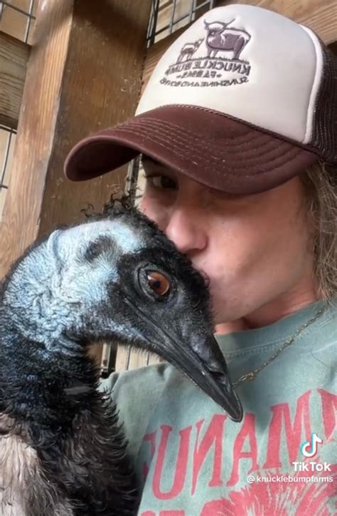 Emmanuel The Tiktok Famous Emu Recovering From Avian Flu