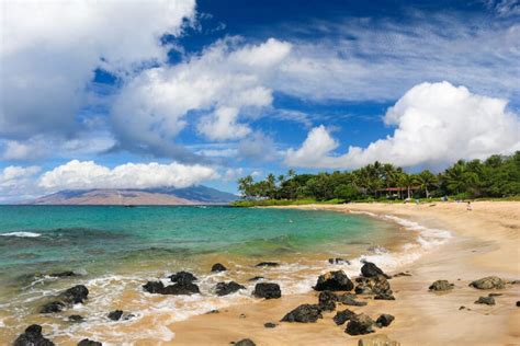 Palauea Beach - White Rock Beach Guide - Auntie Snorkel