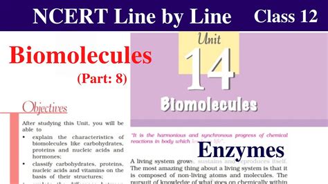 Biomolecules Class Chemistry Enzymes Mechanism Of Enzyme