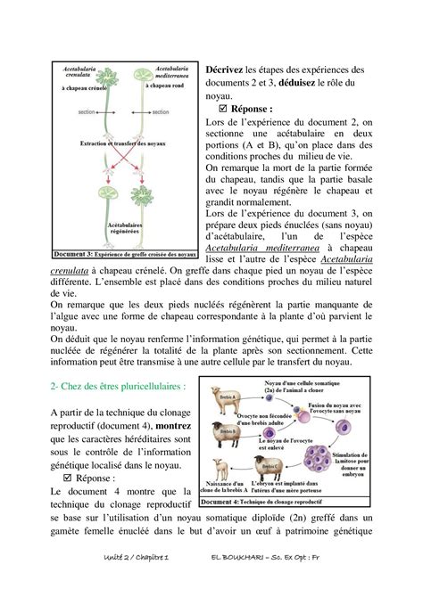 Notion de linformation génétique Cours 3 AlloSchool