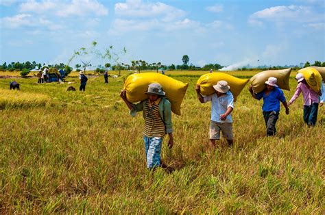 Climate Change Adaptation for Agriculture: Focusing on Livelihoods