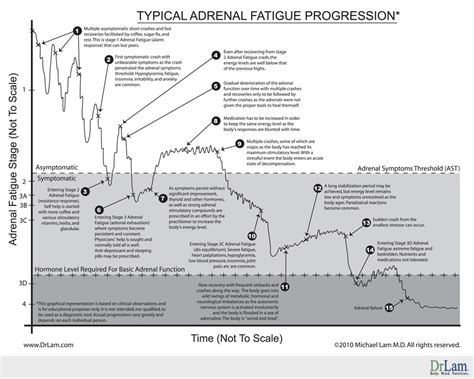 The Truth About Adrenal Fatigue Root Causes Explained Organic Olivia