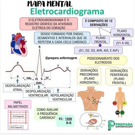 Mapa Mental Eletrocardiograma Ecg Cardiologia I SexiezPicz Web Porn