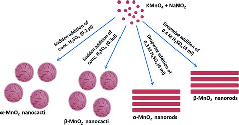 Schematic Showing The Formation Of α And β Mno2 Nanocacti And α And