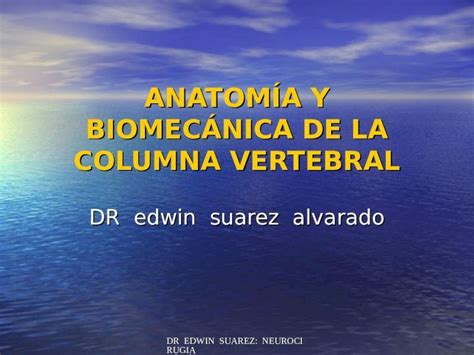 PPT Anatomía y Biomecánica de La Columna Vertebral Unfsc DOKUMEN TIPS