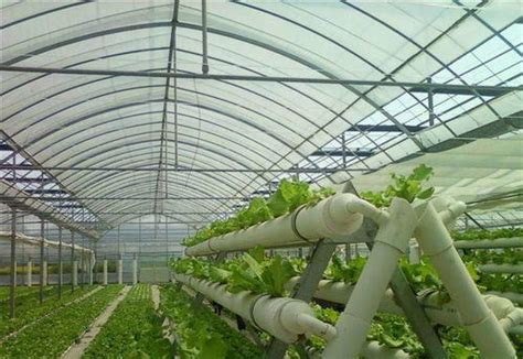 Polycarbonate Solid Sheet for Agricultural Commercial Used ...