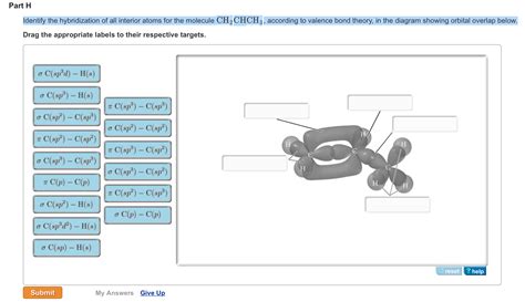 Solved: Part H Identify The Hybridization Of All Interior ... | Chegg.com