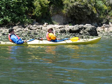 crazy little thing called blog: Kayaking in Tomales Bay