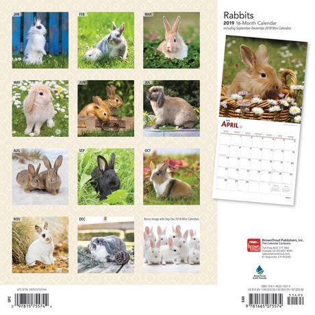 2019 Rabbits Calendar Walmart Canada