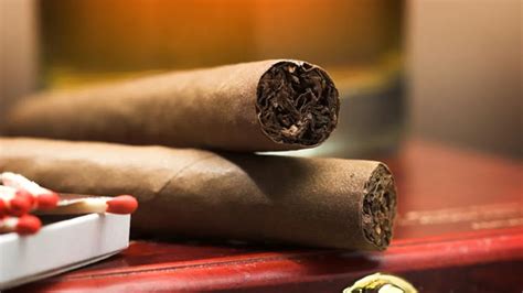 Cigars Facts Facts Net