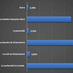 Les Motivations De Choix Des Banques Participatives Par Les PME