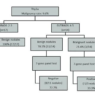 US And Molecular Features As Criteria For Decision Making In TIR3B